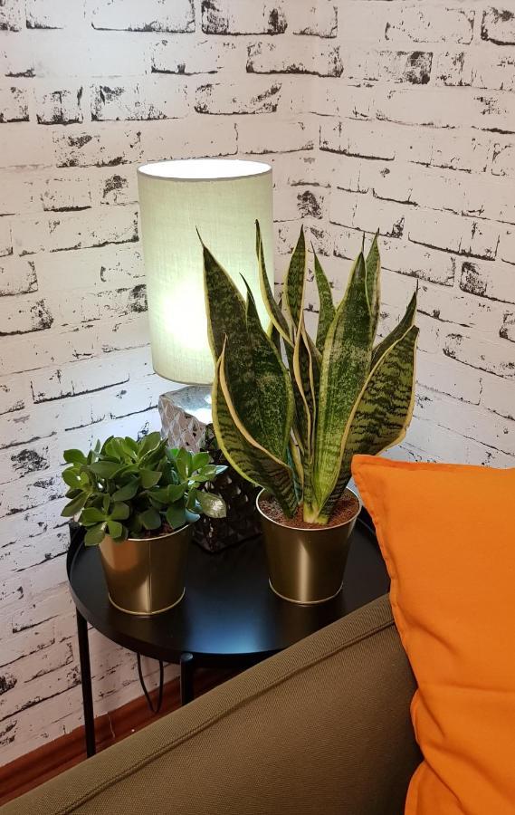 Apartman I Studio Apartman Majoli Kukuljanovo Buitenkant foto